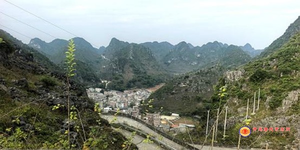 tang_dcdf5645e69578337b_02.jpg