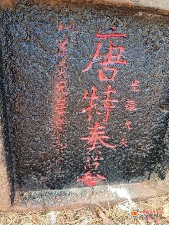 tang_e257628d1bd10ac361_03.jpg