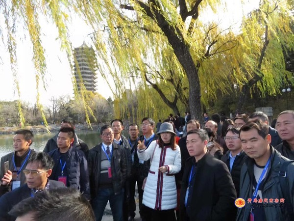tang_e5f1b07917ea9f6ee2_07.jpg