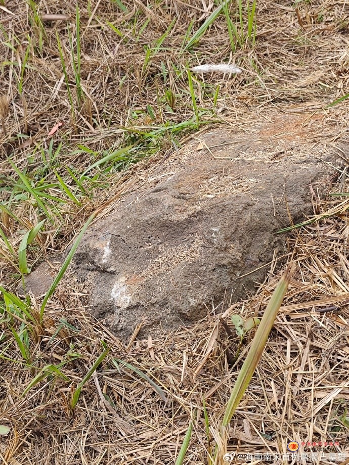 tang_ed452cb47d2aa19315_02.jpg