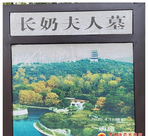 tang_fc43433c2295f31189_12.jpg