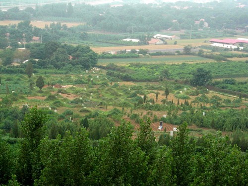 tian_1946_6d8254857e57165b0100.jpg