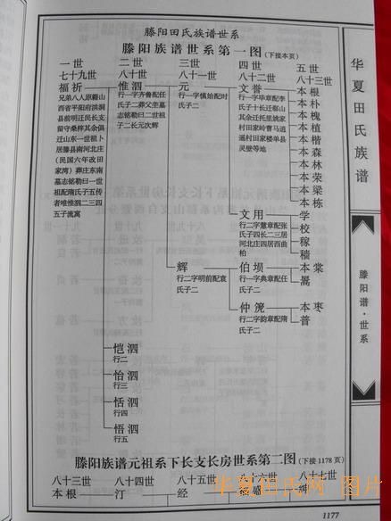 tian_2258_49b92b900065c8762411.jpg