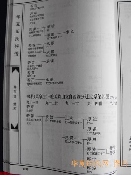 tian_2258_4e01f8973a8731a30415.jpg
