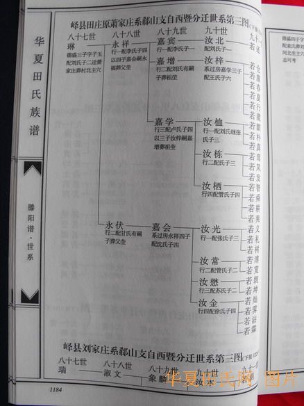 tian_2258_7c6463c1af41364dbd20.jpg