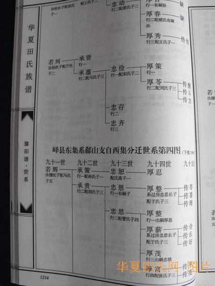 tian_2258_9e75fdbb61963ad01ed9.jpg