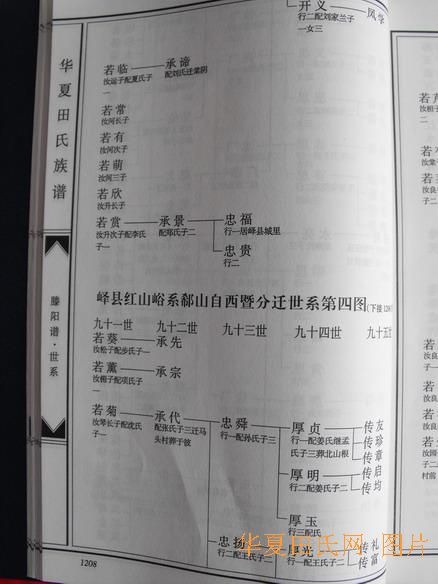 tian_2258_b29b8ddde3d079fa917b.jpg