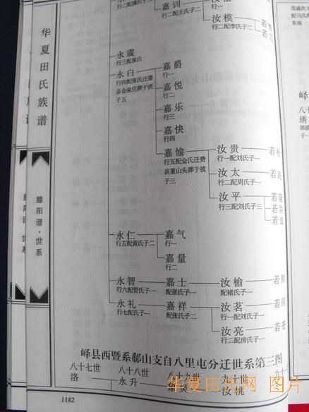 tian_2258_e290204cfedbaaaf57a2.jpg