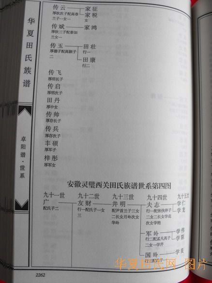 tian_2259_2719975cac0281b07f0f.jpg