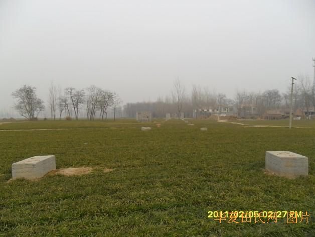 tian_2882_59a0300ca4d869785d21.jpg