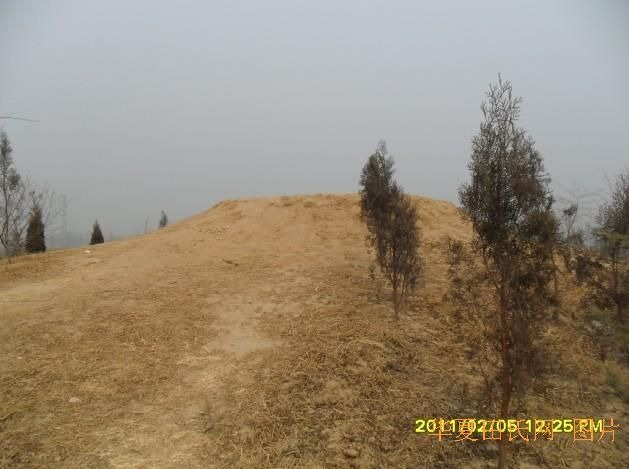 tian_2883_2839022131ad9fea05fc.jpg