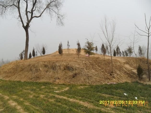 tian_2883_4044a0c9dd16b2505a91.jpg