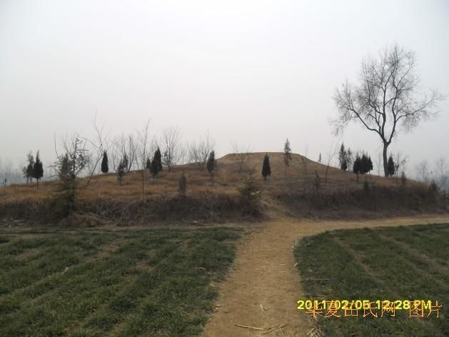tian_2883_e7d2f0e1118305aefde9.jpg