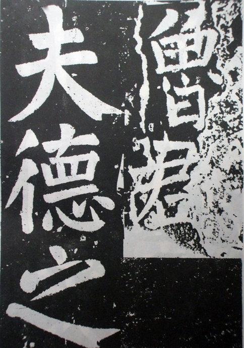 tian_3330_f43293ff7a4fb80aa609.jpg