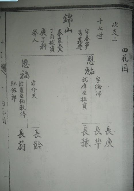 tian_4607_b8c064632457efa51964.jpg