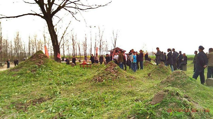 tian_6253_caf25251260c724c1cdf.jpg