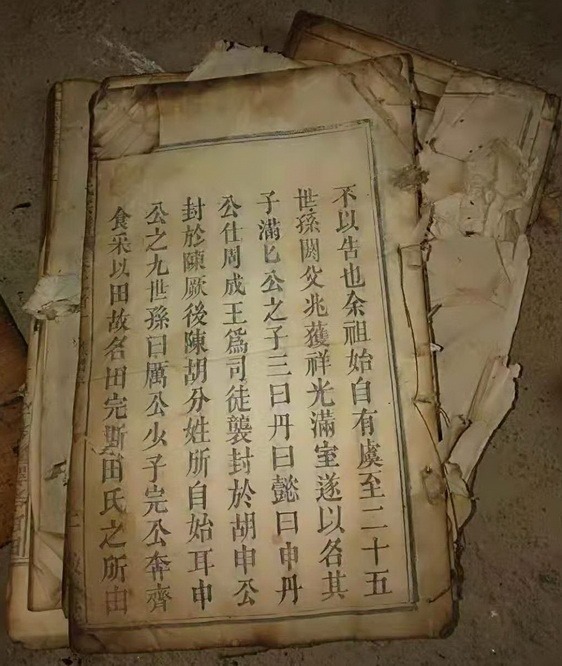 tian_6827_a4f6f3236fcc3c907075.jpg