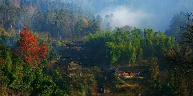 tian_6917_d4114cd16583beac8850.jpg