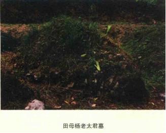 tian_7118_825628889860389feabd.jpg