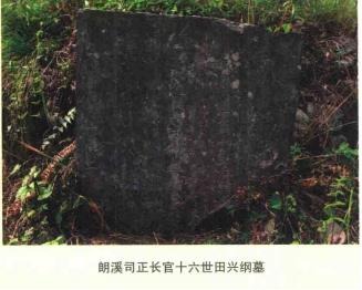 tian_7118_eb4f4e3b4a3dd3844fb4.jpg
