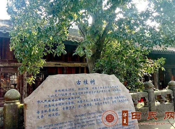 tian_7446_3ea809d47a41836a73cd.jpg