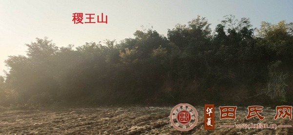 tian_7481_16ac8fc4c109baefcb66.jpg