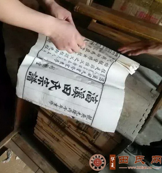 tian_8020_84b361f8f8fcd73c9864.jpg