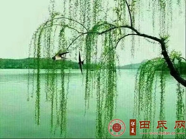 tian_8416_142b17e5df833bd9f80a.jpg
