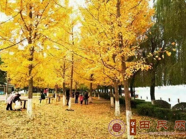 tian_8416_f87131571e1251417fea.jpg
