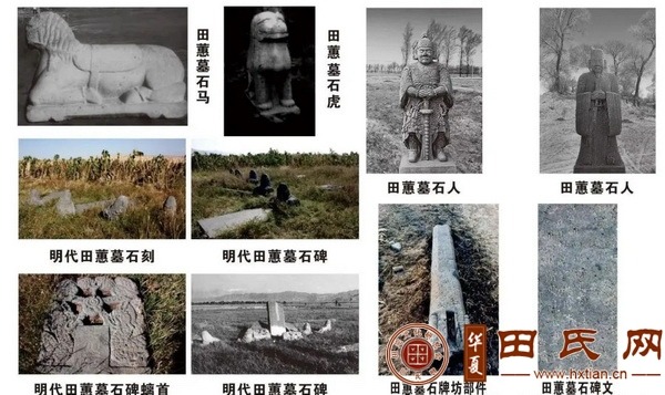 tian_8426_8cf5466cee913988b986.jpg