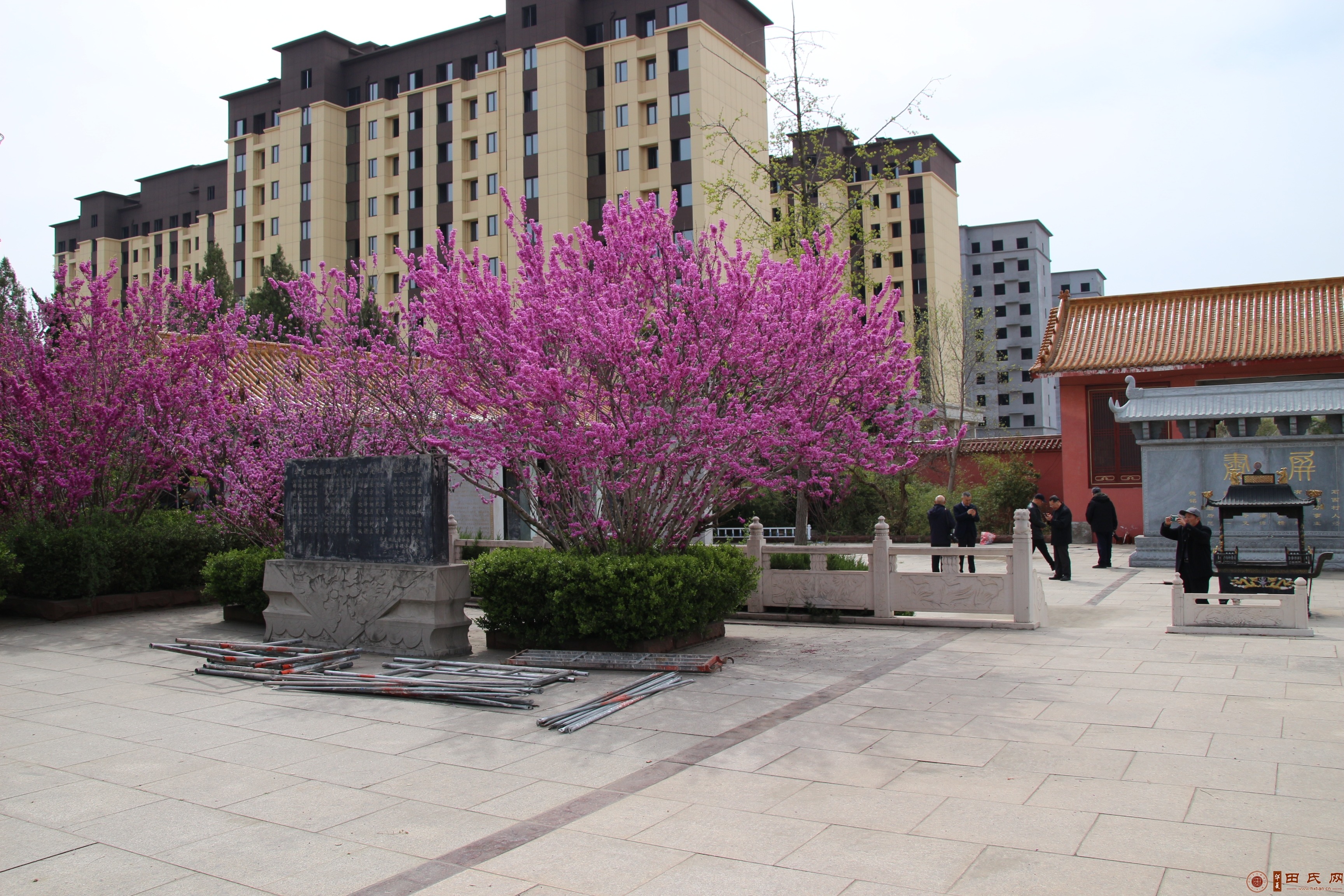 tian_9026_01edfd6813312908c5c4.jpg
