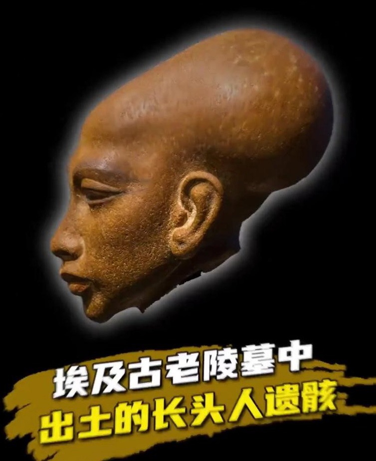 tian_9227_35fa5b7b13b0908d9a67.jpg