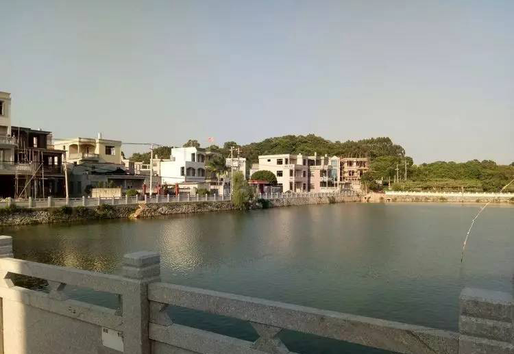 福建省诏安县翁氏后裔翁裕(台湾拓垦大户)的传奇人生（人物资料）.jpg