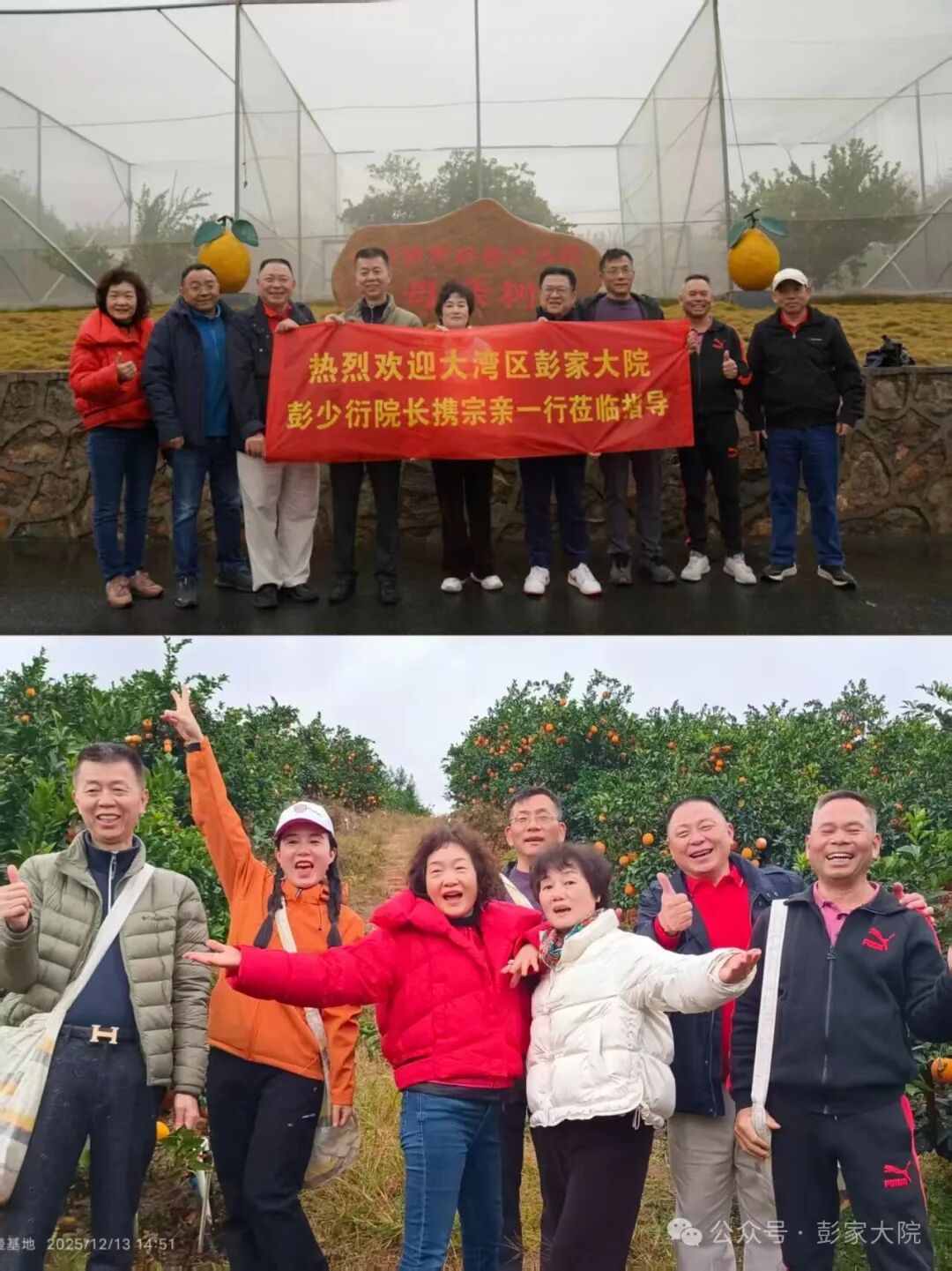 worldpeng_b5d8039ed44faa9c5d_00.jpg