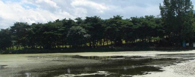 경북 경산시 유곡동 신지.png