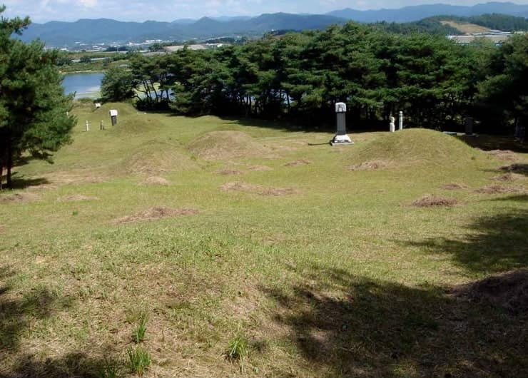 경북 경산시 유곡동 신지.png
