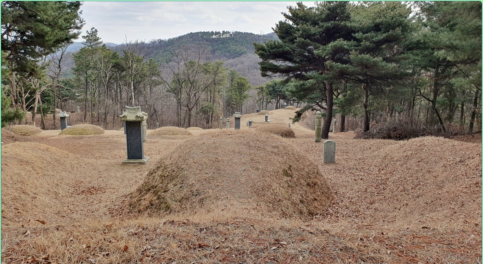 군포-부여서씨 판내부시사 서춘(徐椿), 소윤 서첨(徐詹), 진의부위 서호덕(徐好德).png