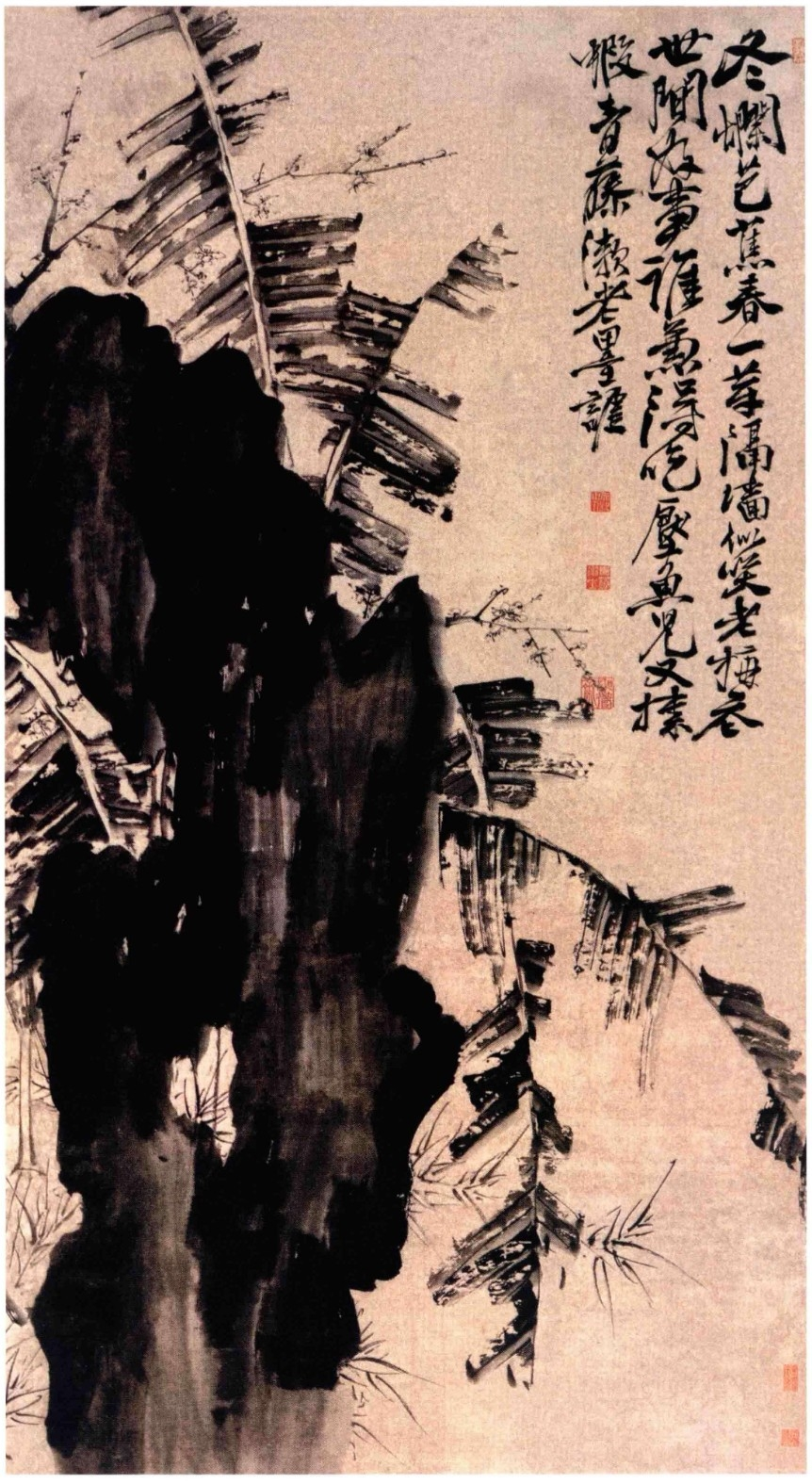 《徐渭书画全集》 绘画卷 蕉石梅竹图.png