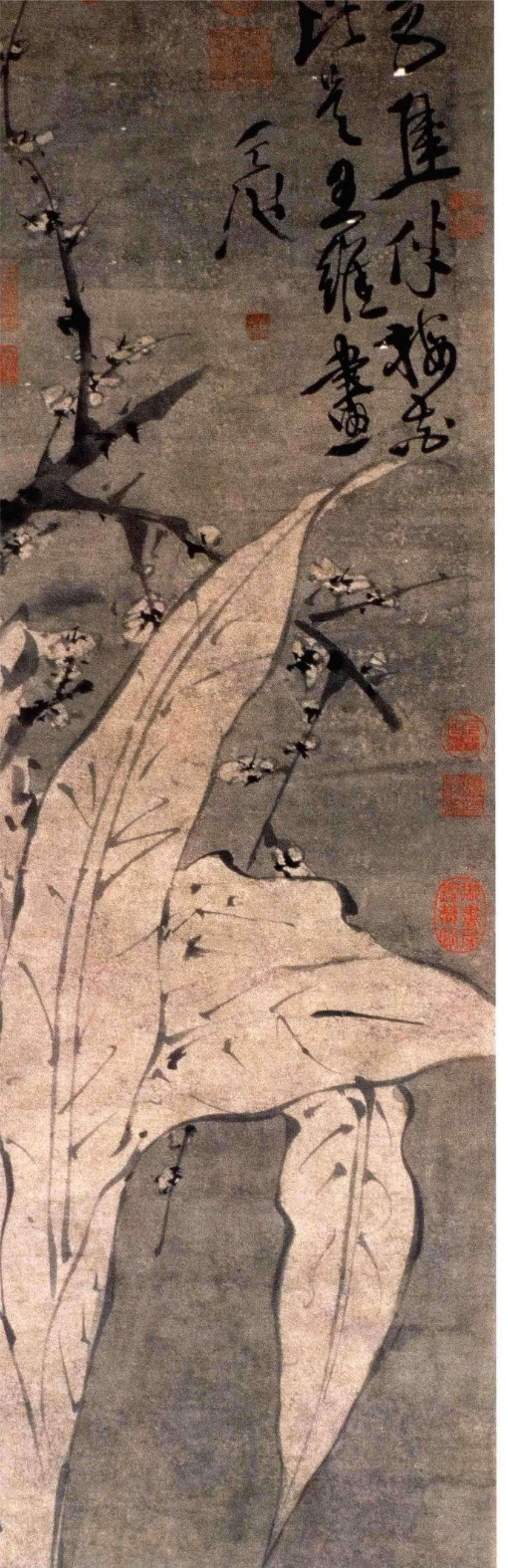 《徐渭书画全集》 绘画卷 梅花蕉叶图.png