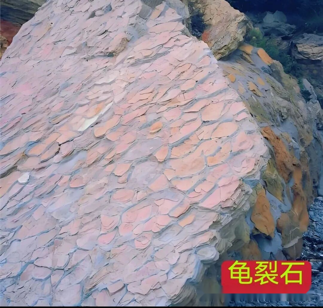 天下徐氏一家亲  大连联谊暧人心.png