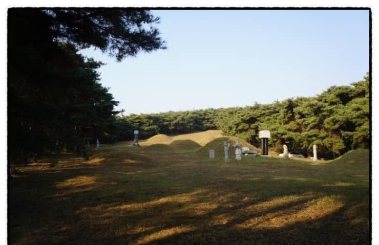 경북 경산시 유곡동 신지.png