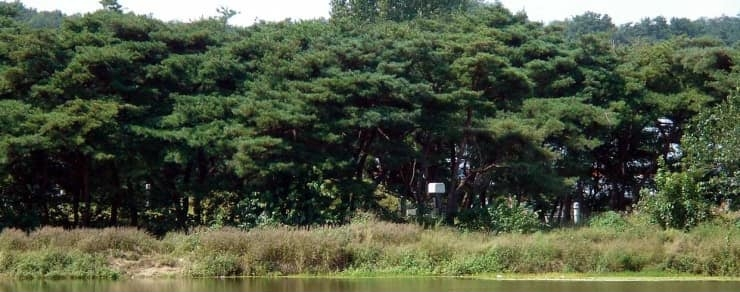 경북 경산시 유곡동 신지.png