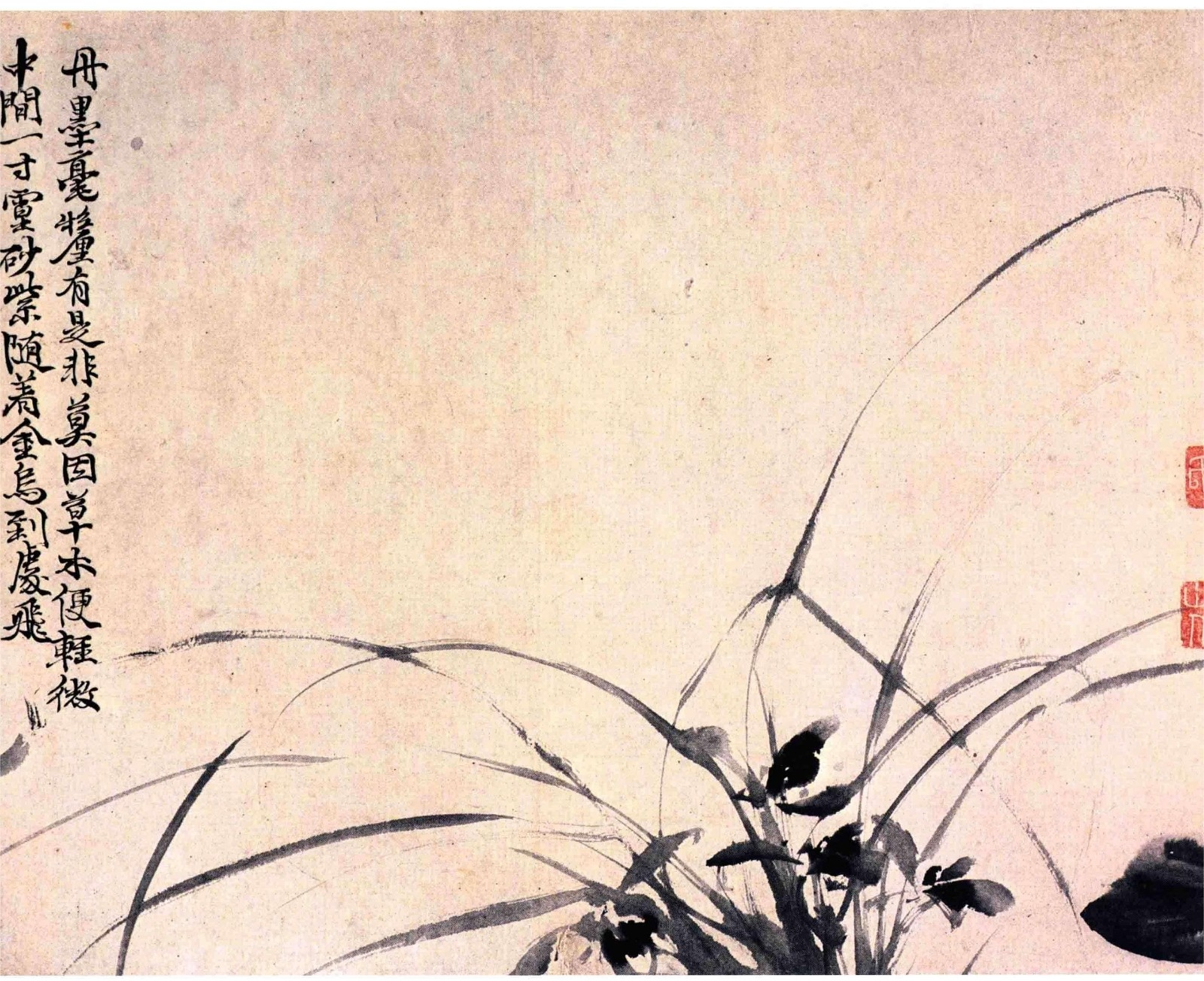 《徐渭书画全集》 绘画卷 花卉图卷.png