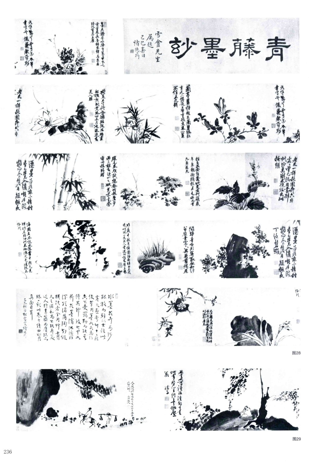 《徐渭书画全集》 绘画卷 作品补遗.png