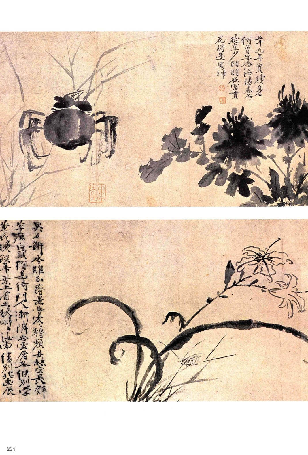 《徐渭书画全集》 绘画卷  墨花四段卷.png