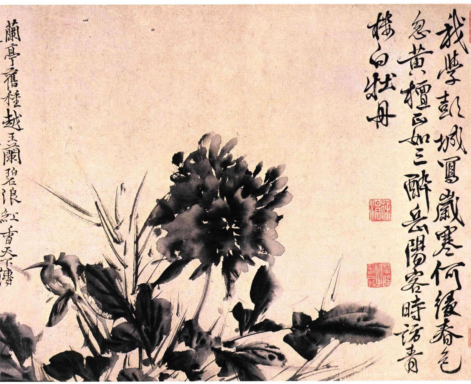 《徐渭书画全集》 绘画卷 花卉图卷.png