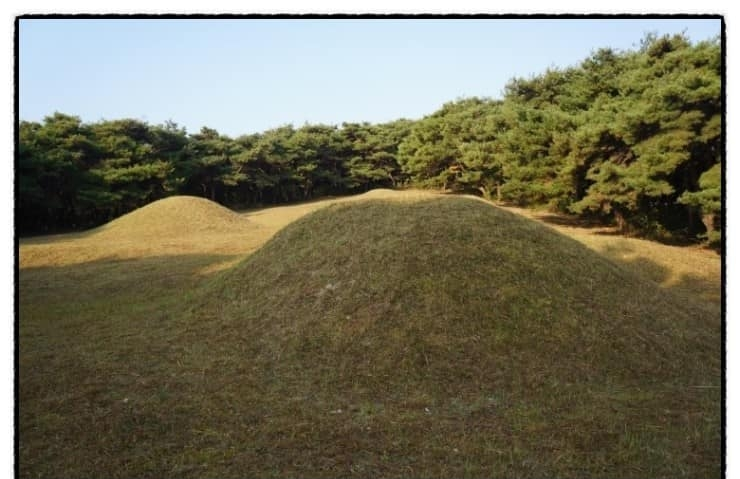 경북 경산시 유곡동 신지.png
