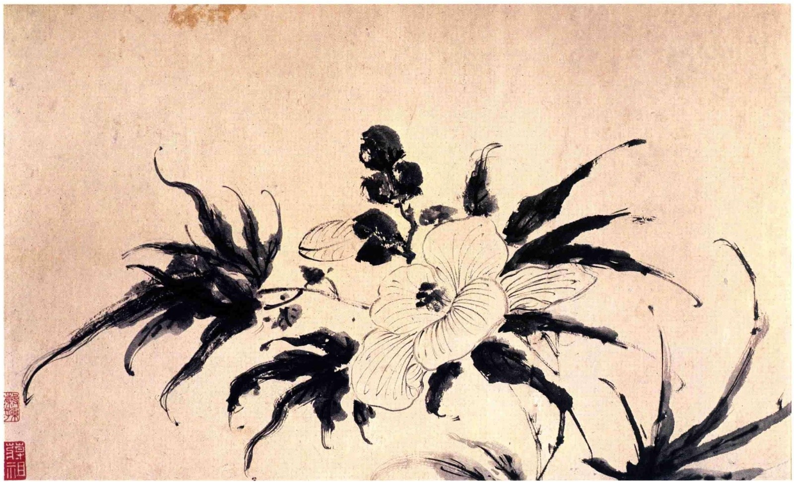 《徐渭书画全集》 绘画卷 花卉图卷.png