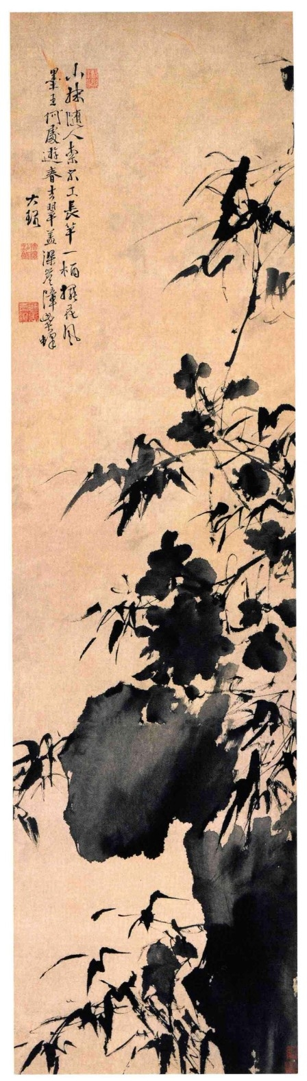 《徐渭书画全集》 绘画卷  竹石牡丹图.png