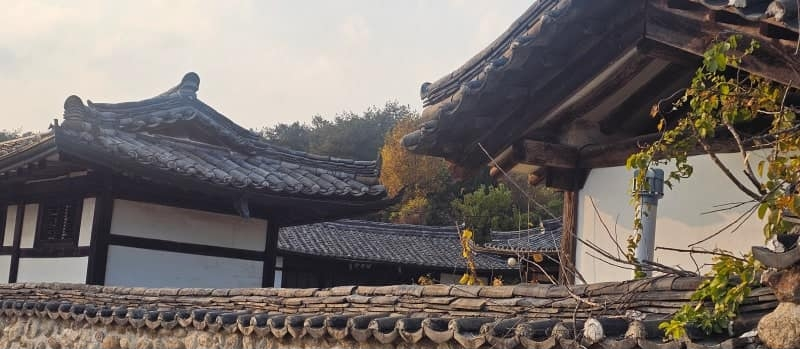 단산면 - 달성서씨, 서재승의 백산서원(白山书院)1951년.png